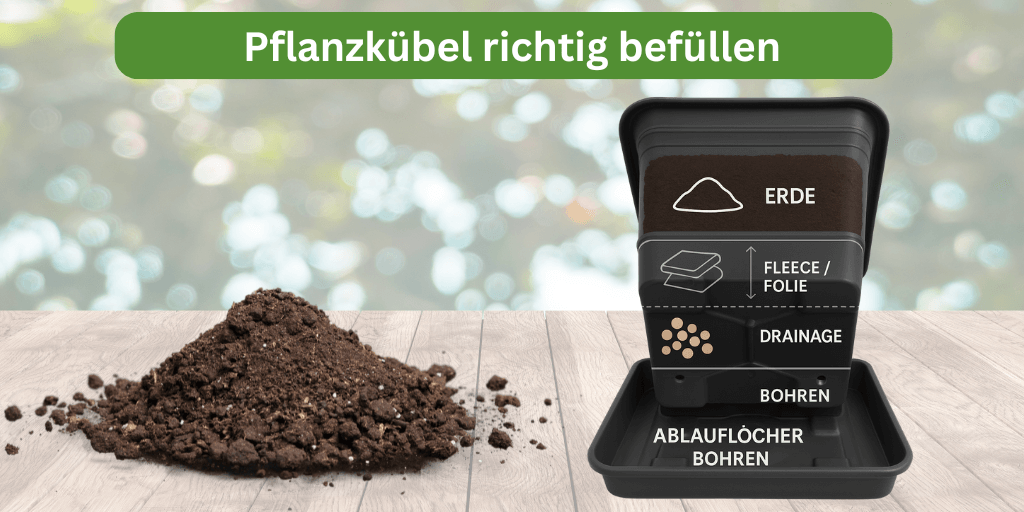 Pflanzkübel richtig befüllen: Erde, Drainage, Löcher & Folie Schritt für Schritt erklärt