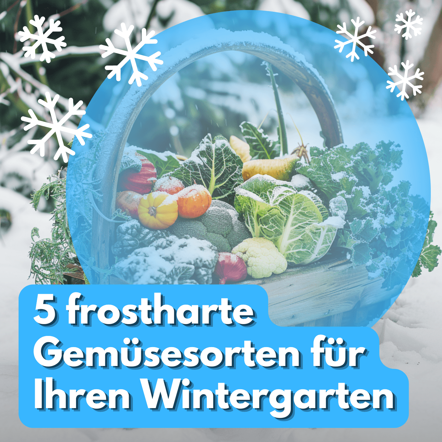 5 frostharte Gemüsesorten für Ihren Wintergarten: Ein umfassender Leitfaden