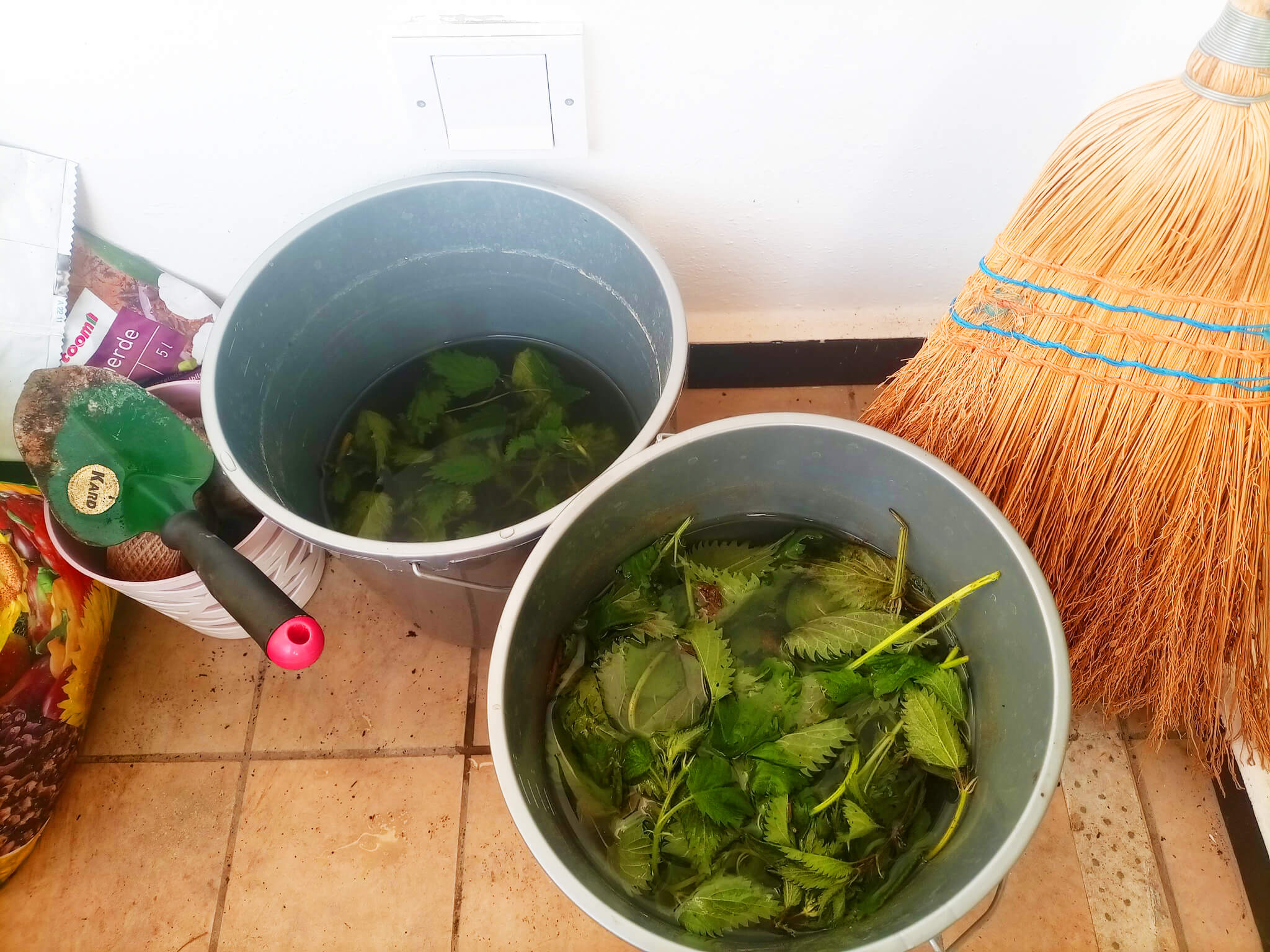 Brennnessel-Power: Der geheime Superheld in Ihrem Garten