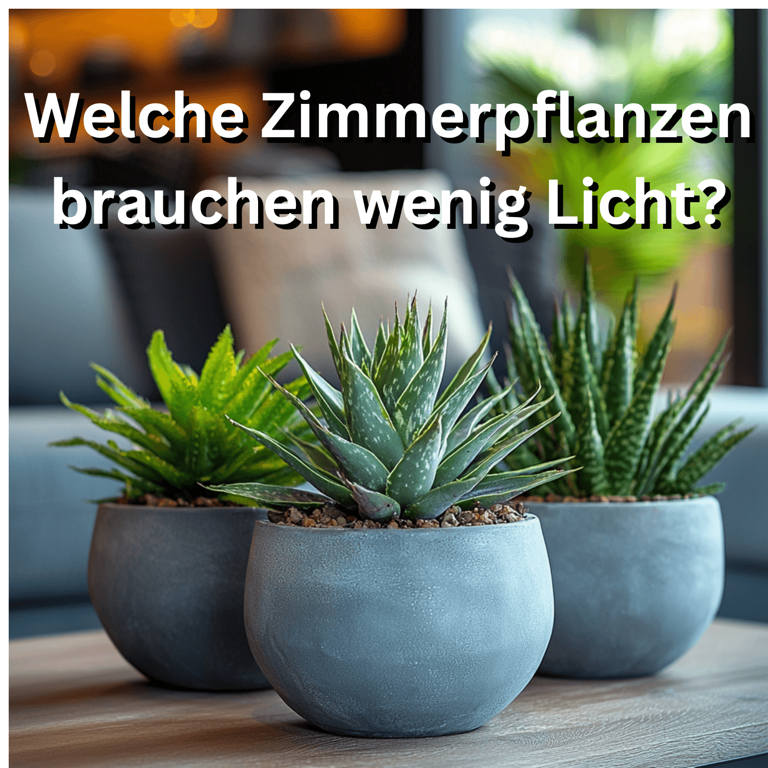 Zimmerpflanzen-Guide: 15 erstaunliche Arten, die in dunklen Ecken gedeihen