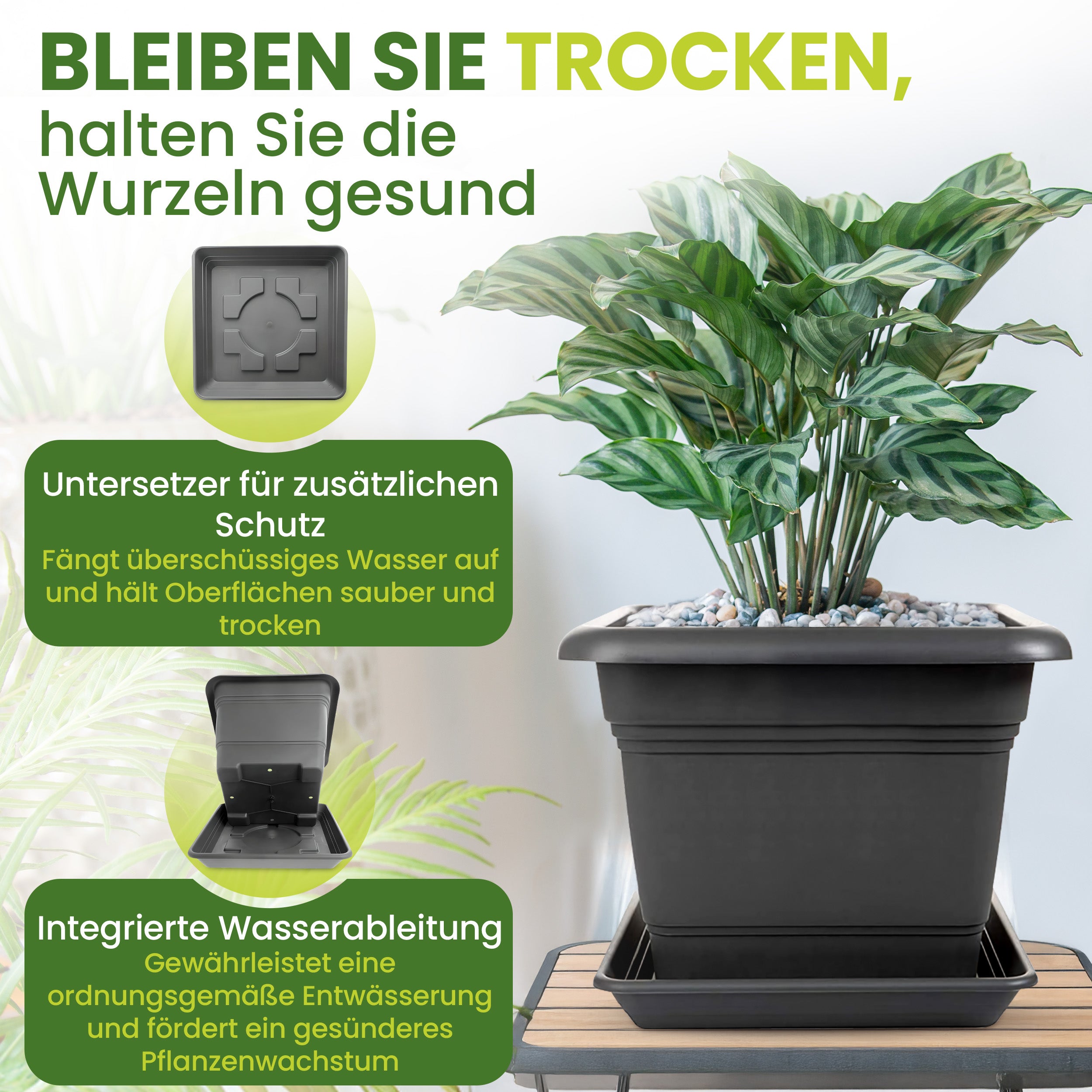 Grands pots de fleurs d'extérieur 48x48 cm - lot de 2 pots de fleurs anthracite XXL pour jardin et terrasse avec soucoupes