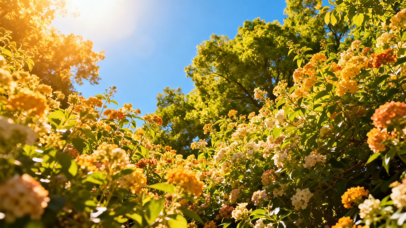 Sonniger Sommertag im Juli mit blühenden Blumen.