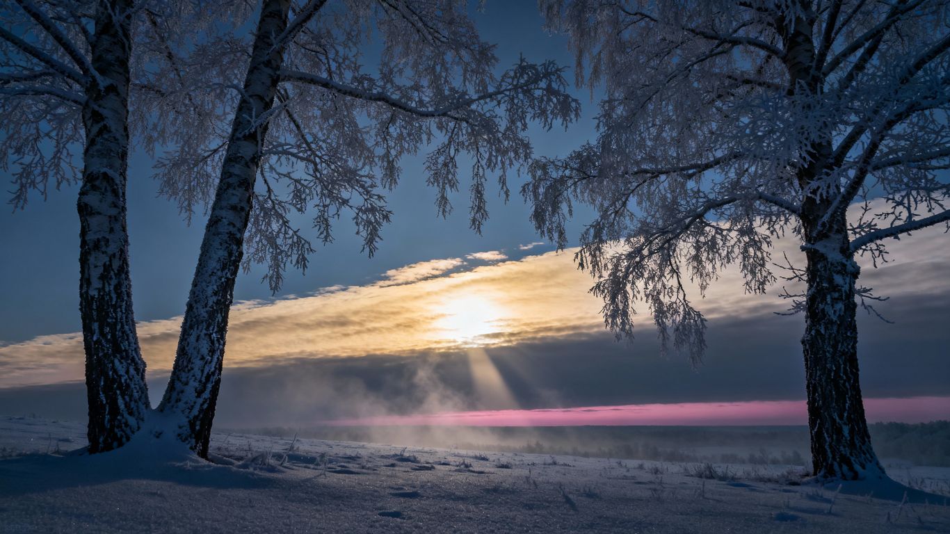 Winterlandschaft mit schneebedeckten Bäumen und Morgensonne
