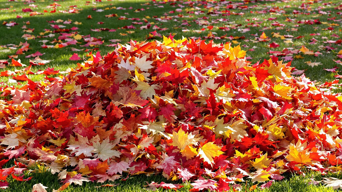 Herbstlaubhaufen im Garten, bereit für den Winter