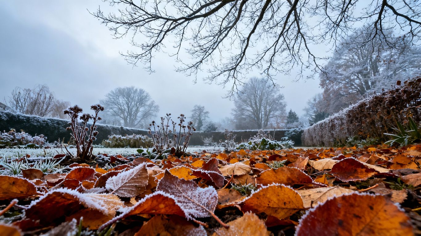 Garten im Übergang von Herbst zu Winter