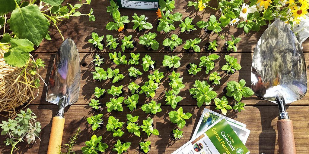 Beetplan mit Gartenwerkzeugen auf einem Holzbrett