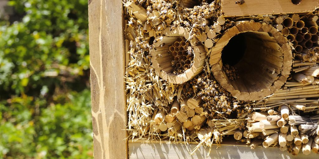 Nahaufnahme eines Holz-Bienenhotels mit verschiedenen natürlichen Materialien.