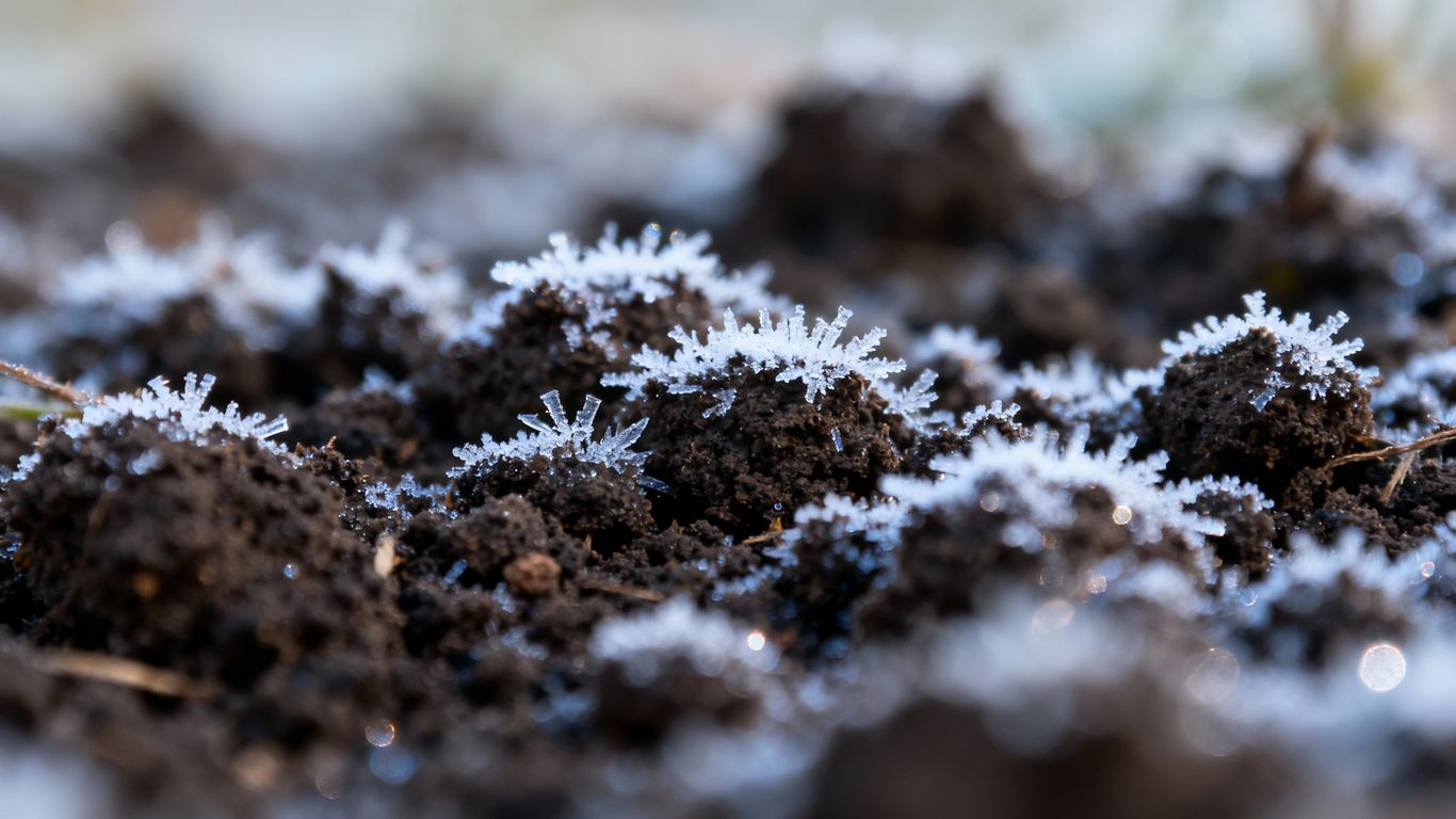 Bodenschutz im Winter: Erde durch Kälte schützen