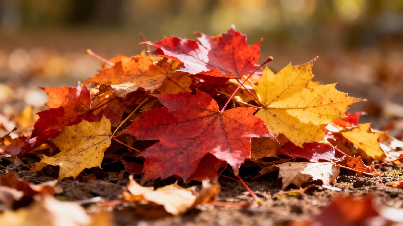 Bunte Herbstblätter im Garten