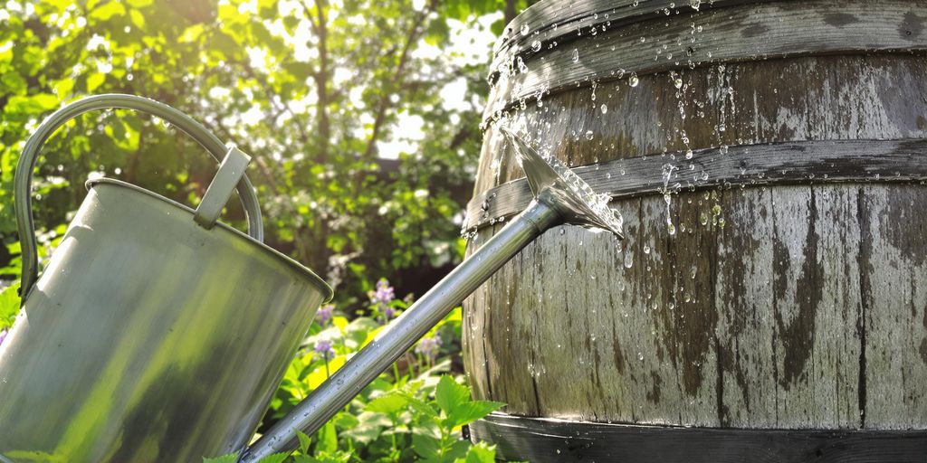 Regentonne neben einer Gießkanne im Garten.