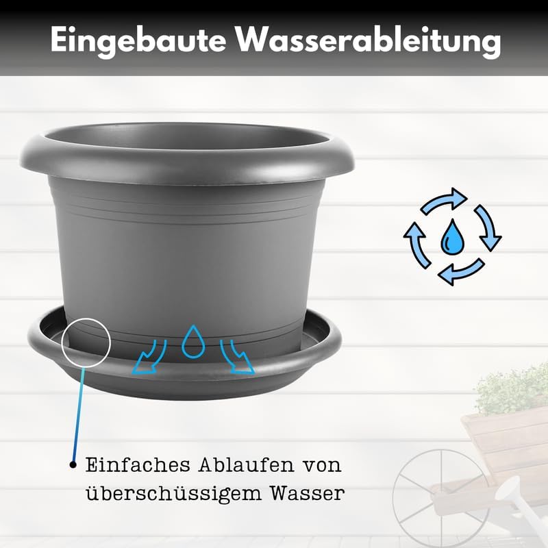 Angebot  - Blumentopf Ø30 cm, mit Untersetzer