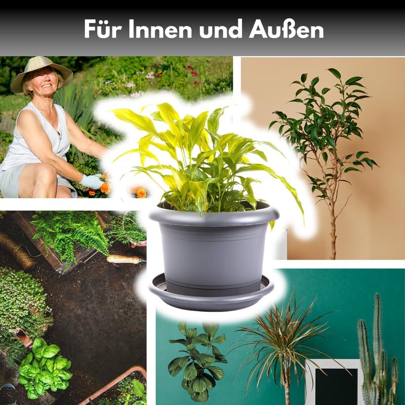 Angebot  - Blumentopf Ø30 cm, mit Untersetzer