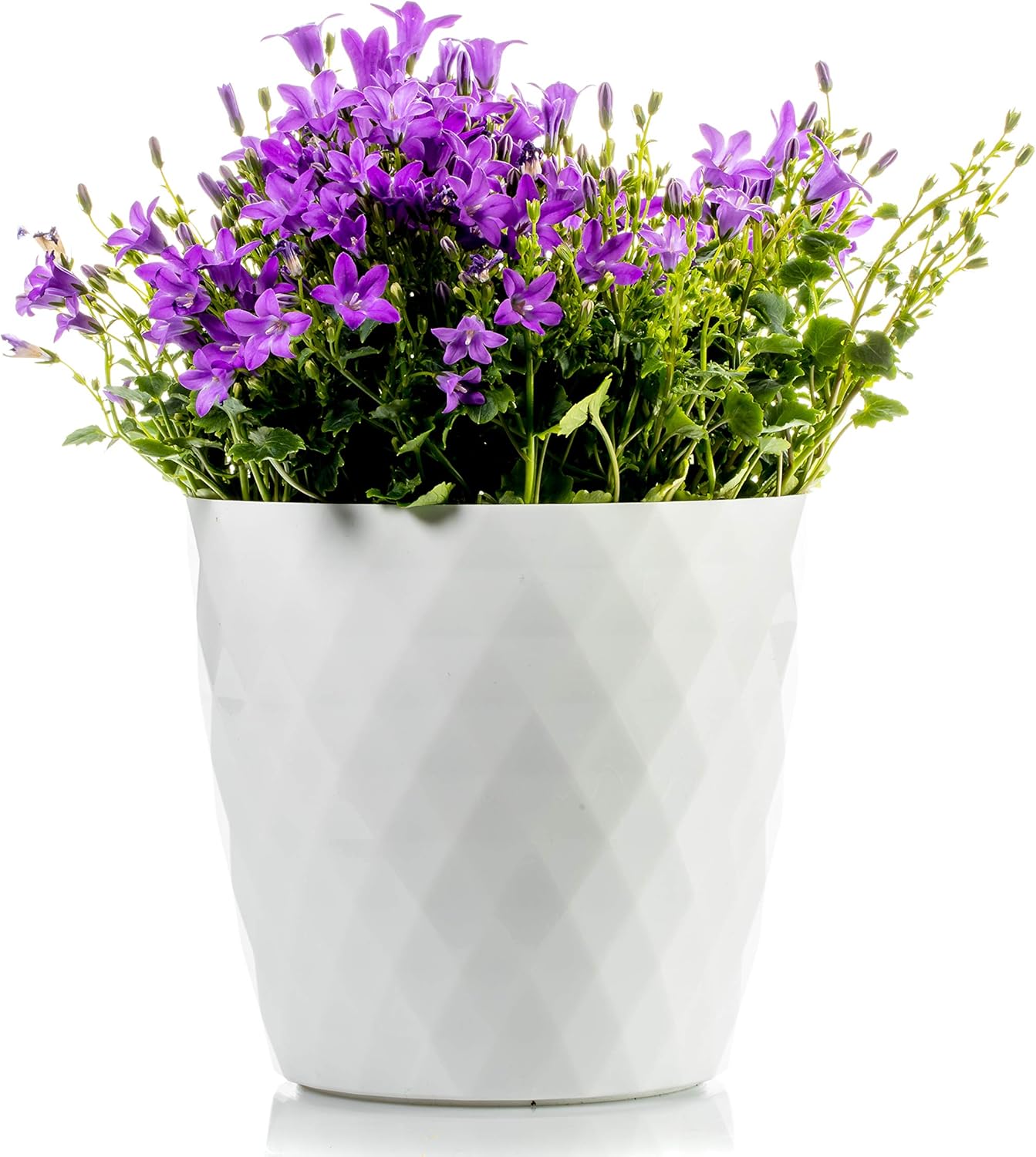 Lot de 3 pots de fleurs Ø 14 cm en plastique blanc brillant 