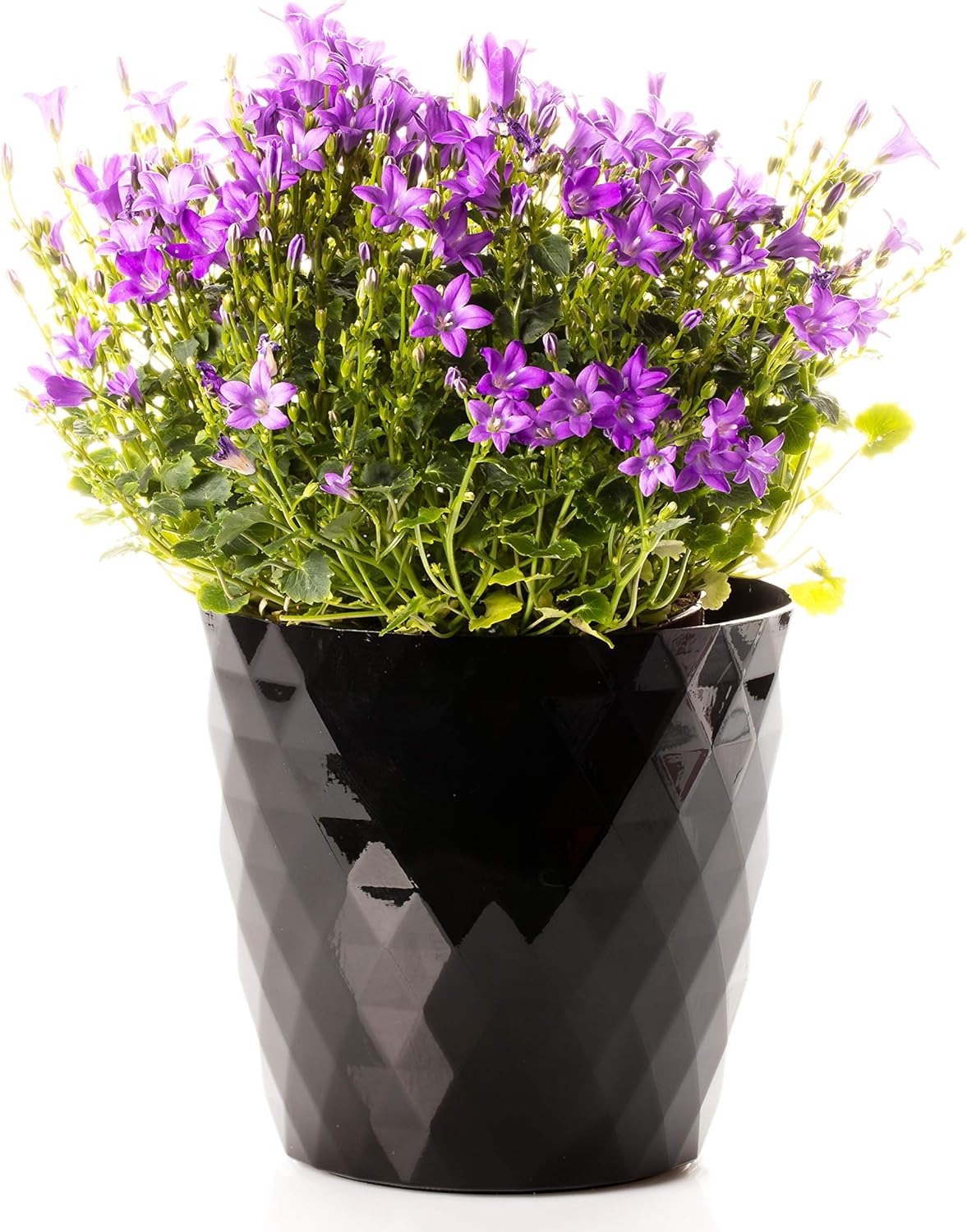 Lot de 3 pots de fleurs Ø 14 cm en plastique noir brillant 