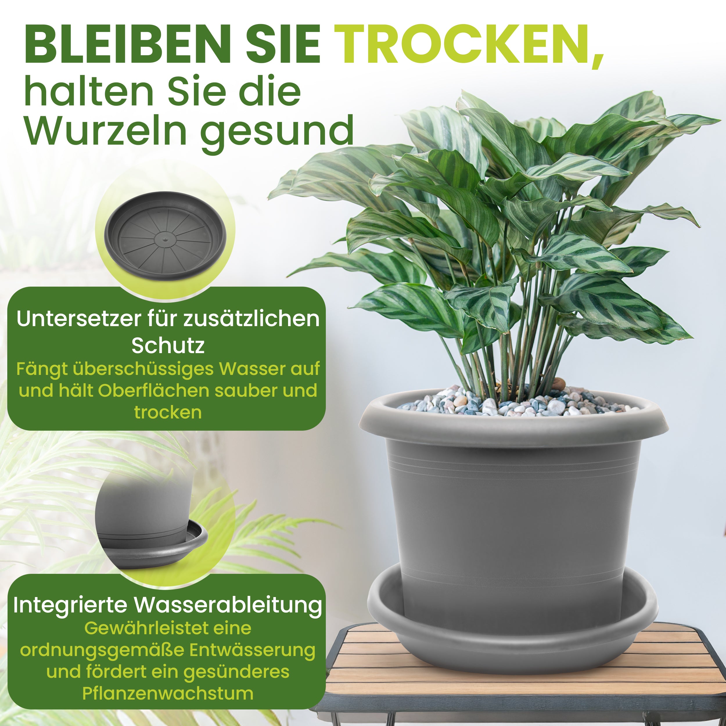 1er Blumentopf Groß Ø50 x H34 cm +🎁 GESCHENK, 66 Liter, mit Untersetzer Anthrazit - Pflanzkübel Groß  - Wetterfest, Langlebig und Stabil