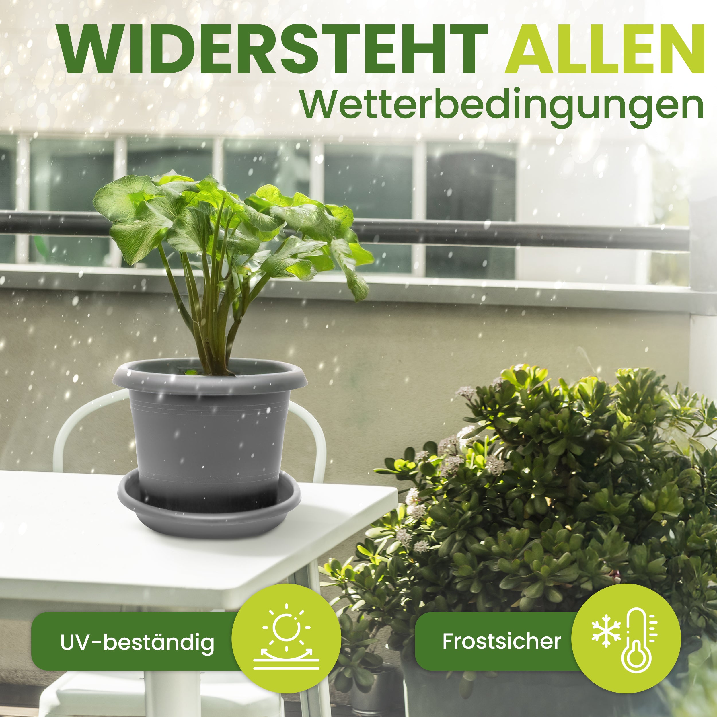 4er Blumentopf Groß Ø50 x H34 cm+🎁 GESCHENK, 66 Liter, mit Untersetzer Anthrazit - Pflanzkübel Groß  - Wetterfest, Langlebig und Stabil