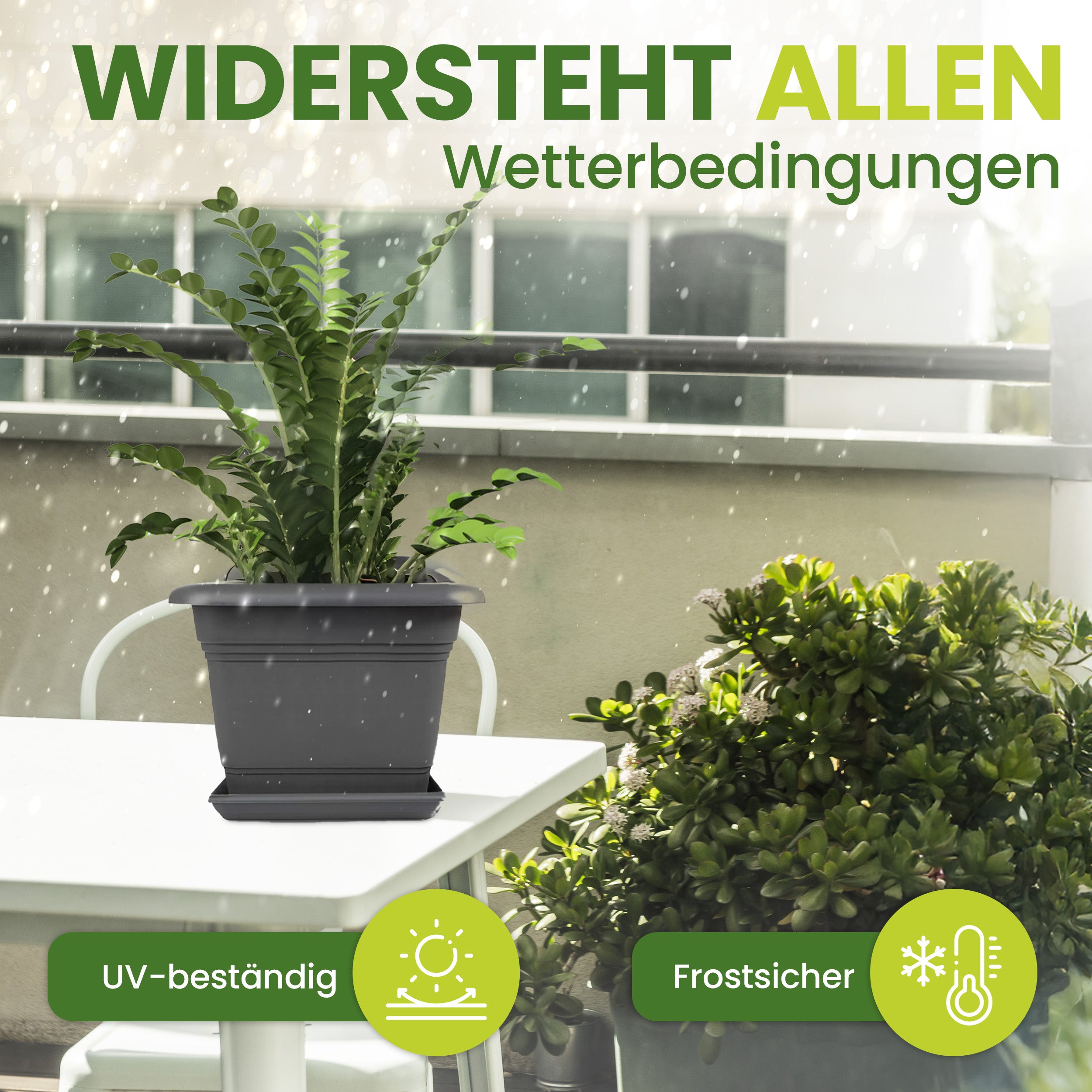 1er Blumentopf Groß 40x40 cm +🎁 GESCHENK, 46 Liter, mit Untersetzer Anthrazit - Pflanzkübel Groß Rechteckig - Wetterfest, Langlebig und Stabil